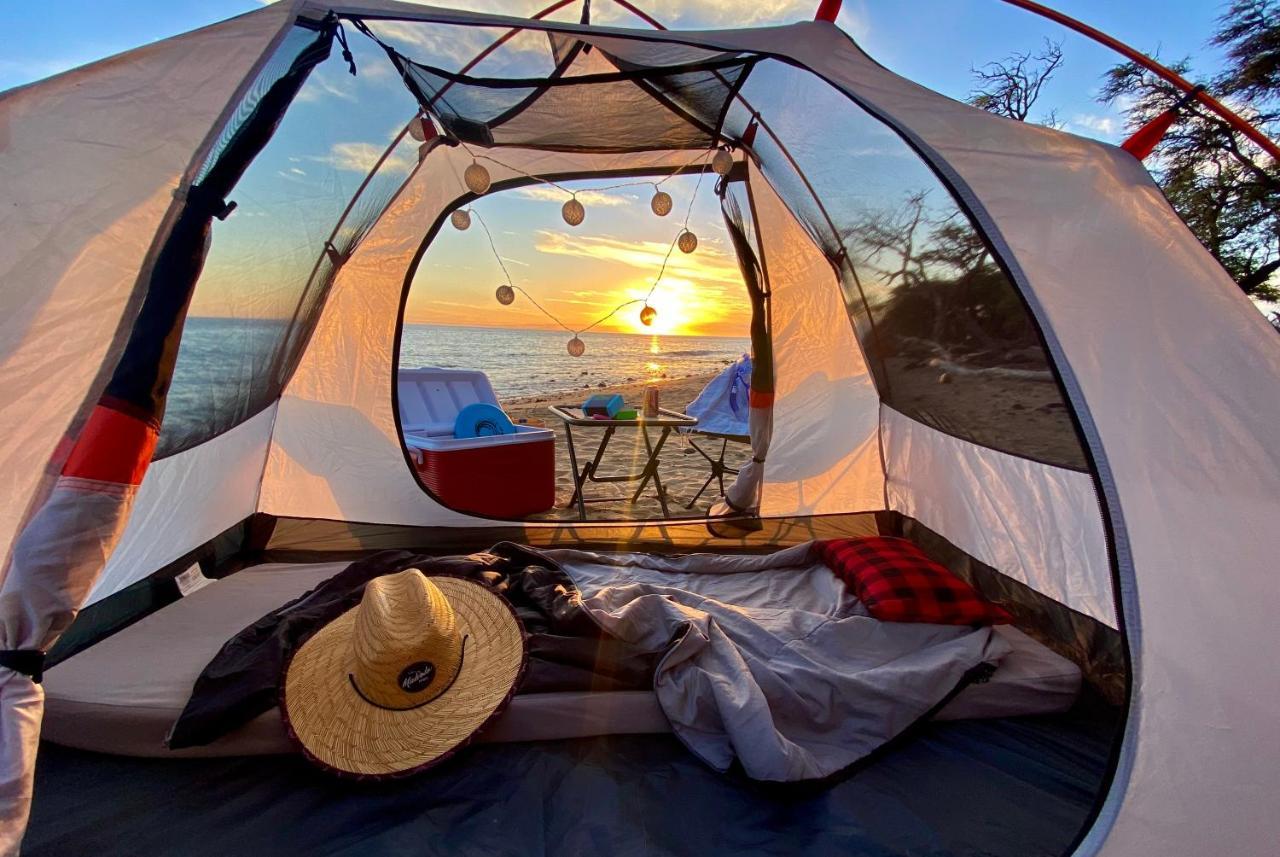 Epic Maui Car Camping Kahului Eksteriør bilde